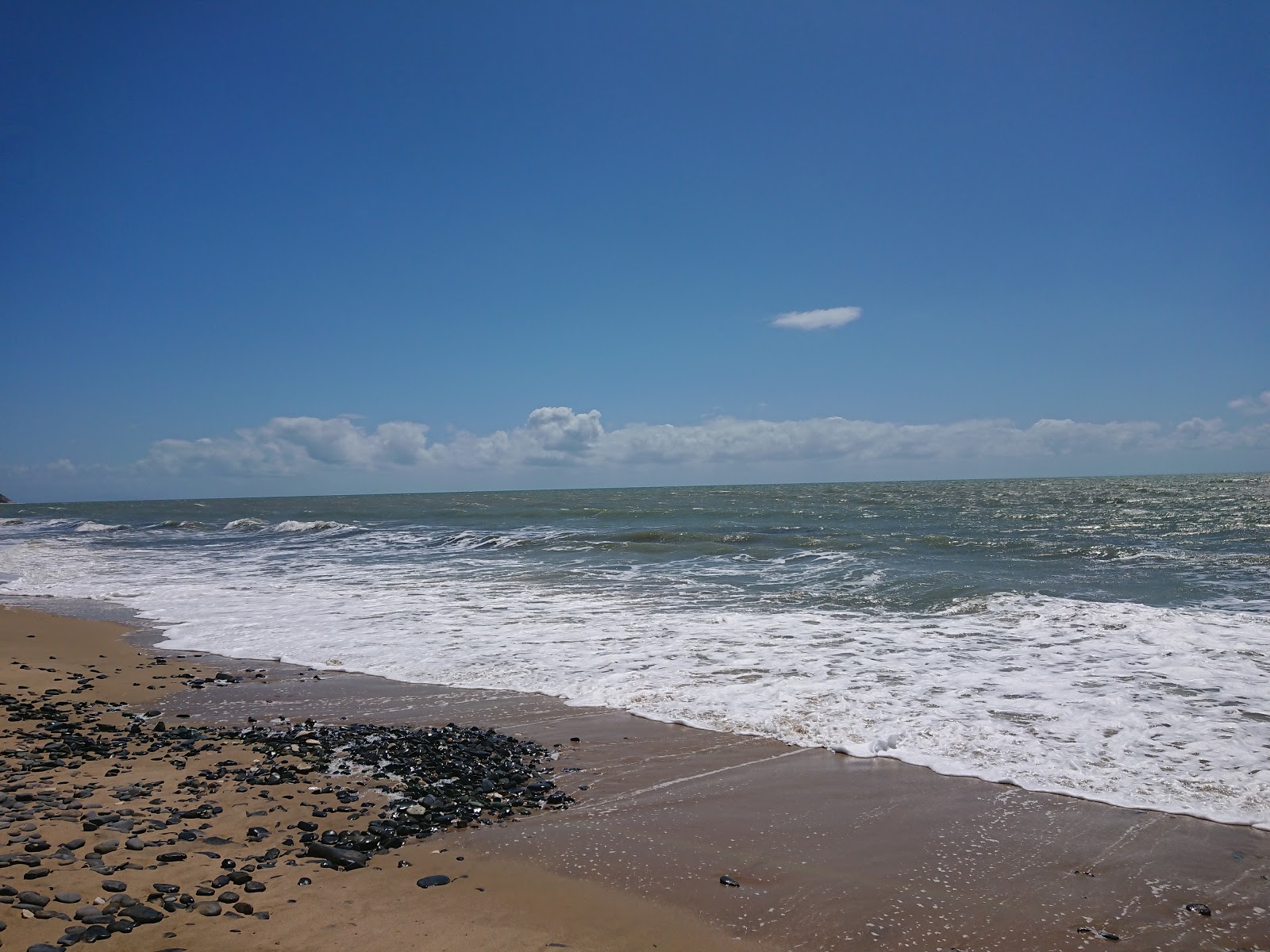 Foto van Wangetti Beach gelegen in een natuurlijk gebied