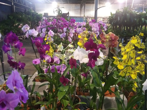 Home Improvement Store «The Home Depot», reviews and photos, 8445 Little Rd, New Port Richey, FL 34654, USA