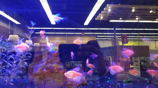 Pet Supply Store «Petco Animal Supplies», reviews and photos, 1320 E Lincoln Way p101, Sparks, NV 89434, USA