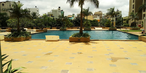 Google Maps image 16