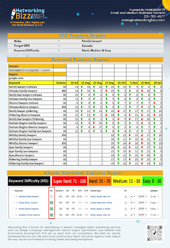 SEO Website Design Pasadena Networking Bizz image