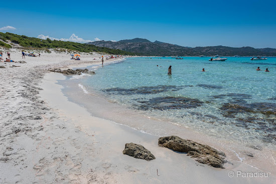 Plage de Saleccia