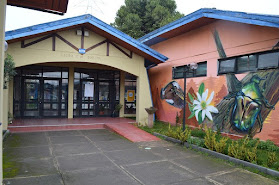 Liceo Luis Cruz Martinez
