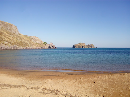 Ropalo