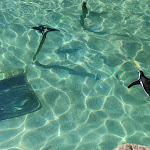 Photo n° 8 de l'avis de Céline.e fait le 11/09/2022 à 18:12 pour Parc animalier et botanique & Parcabout de Branféré à Le Guerno