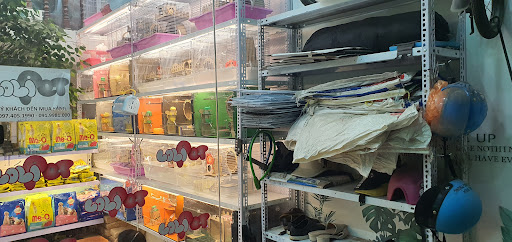 Top 1 cửa hàng lolipet Quận Ngũ Hành Sơn Đà Nẵng 2022