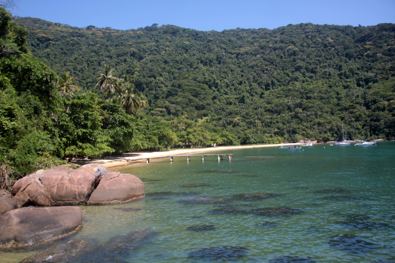 Foto de Praia de Mangues área de servicios