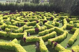 Beverīnas labirinti - koka skulptūru parks image
