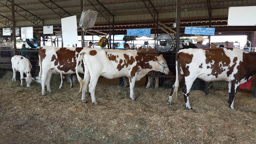 Fairground «Heart of the Ozarks Fair», reviews and photos, US Hwy 63, West Plains, MO 65775, USA