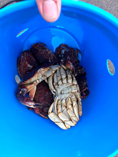 Resort «Embarcadero Resort Hotel & Marina», reviews and photos, 1000 SE Bay Blvd, Newport, OR 97365, USA