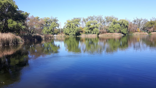 Fishing pond Mississauga