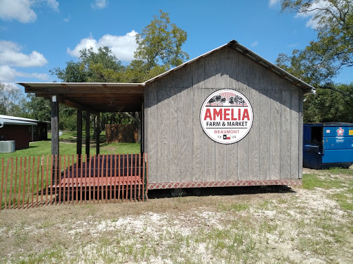 Amelia Farm and Market