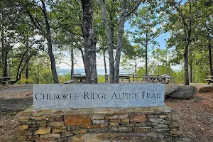 Cherokee Ridge Alpine Trail image