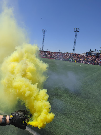 Stadium «Keyworth Stadium», reviews and photos, 3201 Roosevelt St, Hamtramck, MI 48212, USA