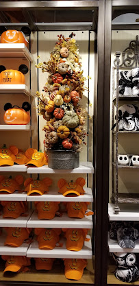 Marketplace Co-Op - Disney Tails - Photo 8 - Car repair in Orlando, FL, Kissimmee