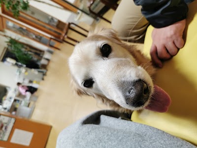 なりとみペット診療所