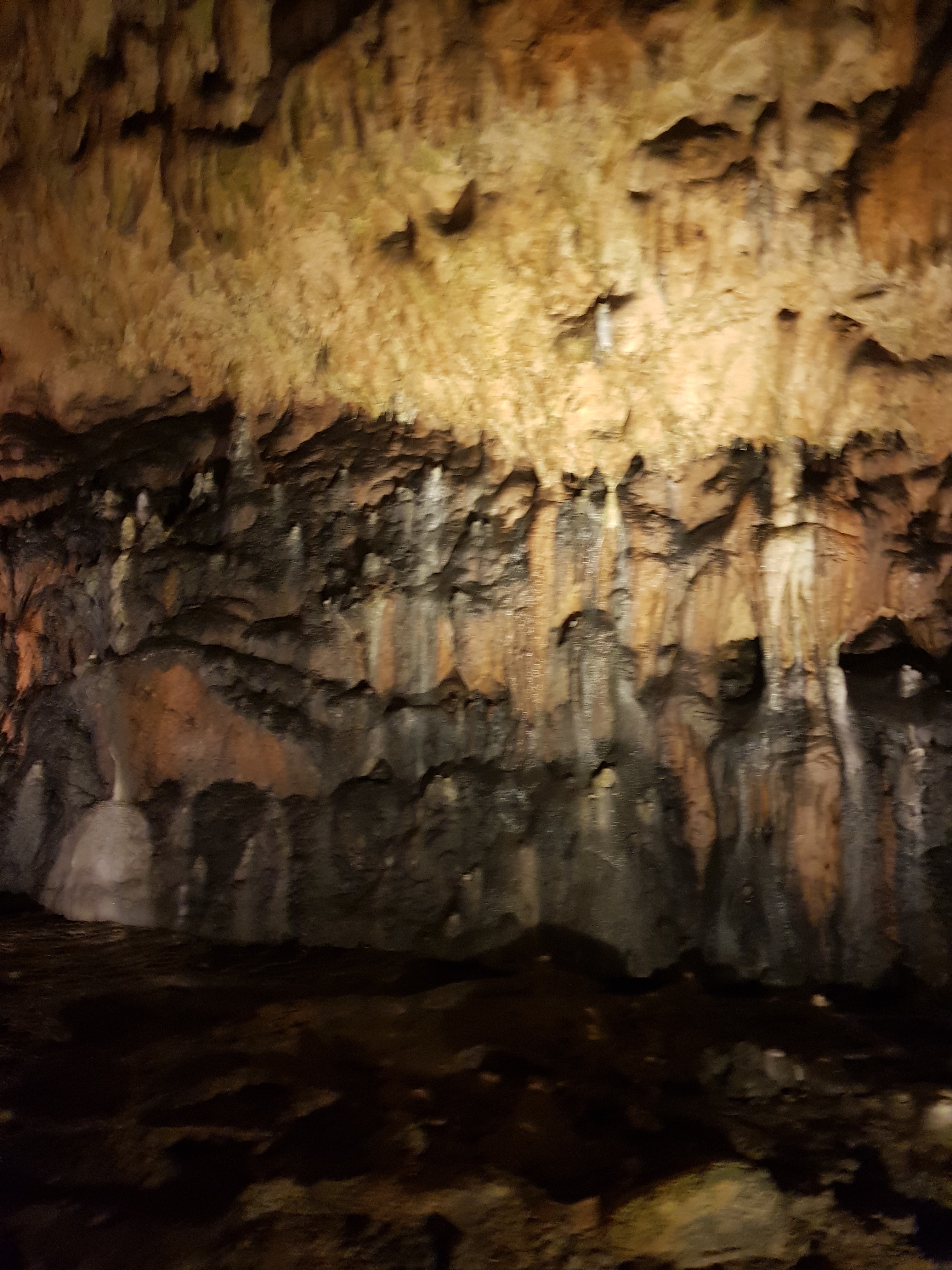 Photo n° 41 de l'avis de Jan.o fait le 05/06/2019 à 17:42
