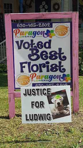 Florist «Paragon Flowers West», reviews and photos, 323 Walnut St, St Charles, IL 60174, USA