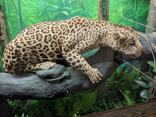 Museum «Delaware Museum of Natural History», reviews and photos, 4840 Kennett Pike, Wilmington, DE 19807, USA