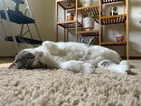 Out-U-Go! Pet Care Services, Inc. - Photo 2 - Car repair in , Madison
