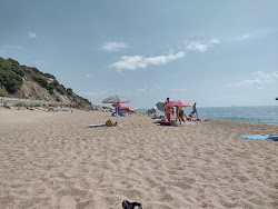 Photo de Platja de la Murtra et le règlement
