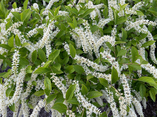 Home Improvement Store «The Home Depot», reviews and photos, 465 NJ-17, Mahwah, NJ 07495, USA