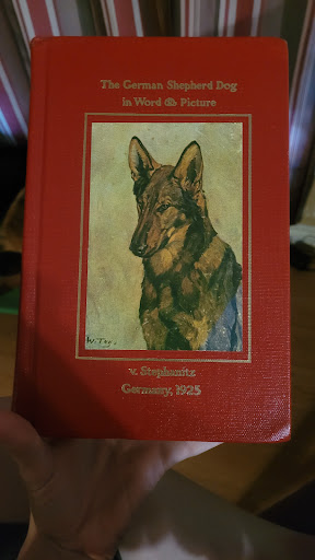 Book Store «The Bookstore», reviews and photos, 1602 Commerce St, Liberty, TX 77575, USA