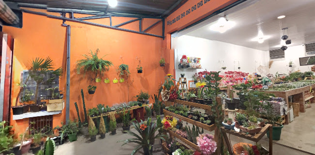 Fontana Flores