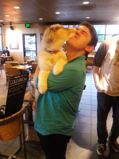 Starbucks image