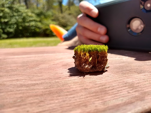 Museum «Aptucxet Trading Post Museum», reviews and photos, 24 Aptucxet Rd, Bourne, MA 02532, USA