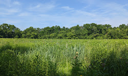 Long Branch Farm & Trails (Open to Cincinnati Nature Center members only)