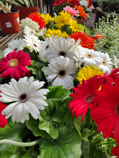 Garden Center «Riverview Tree & Landscaping, Inc.», reviews and photos, 3049 Pricetown Rd, Temple, PA 19560, USA