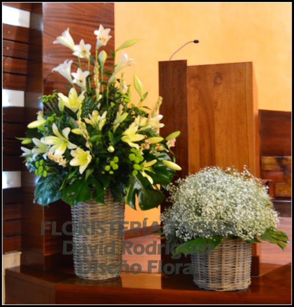 Floristería Clívia
