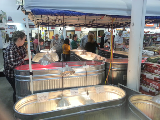 Home Improvement Store «True Value 360 Hardware & Rental», reviews and photos, 625 Richmond Tappahannock Hwy, Manquin, VA 23106, USA