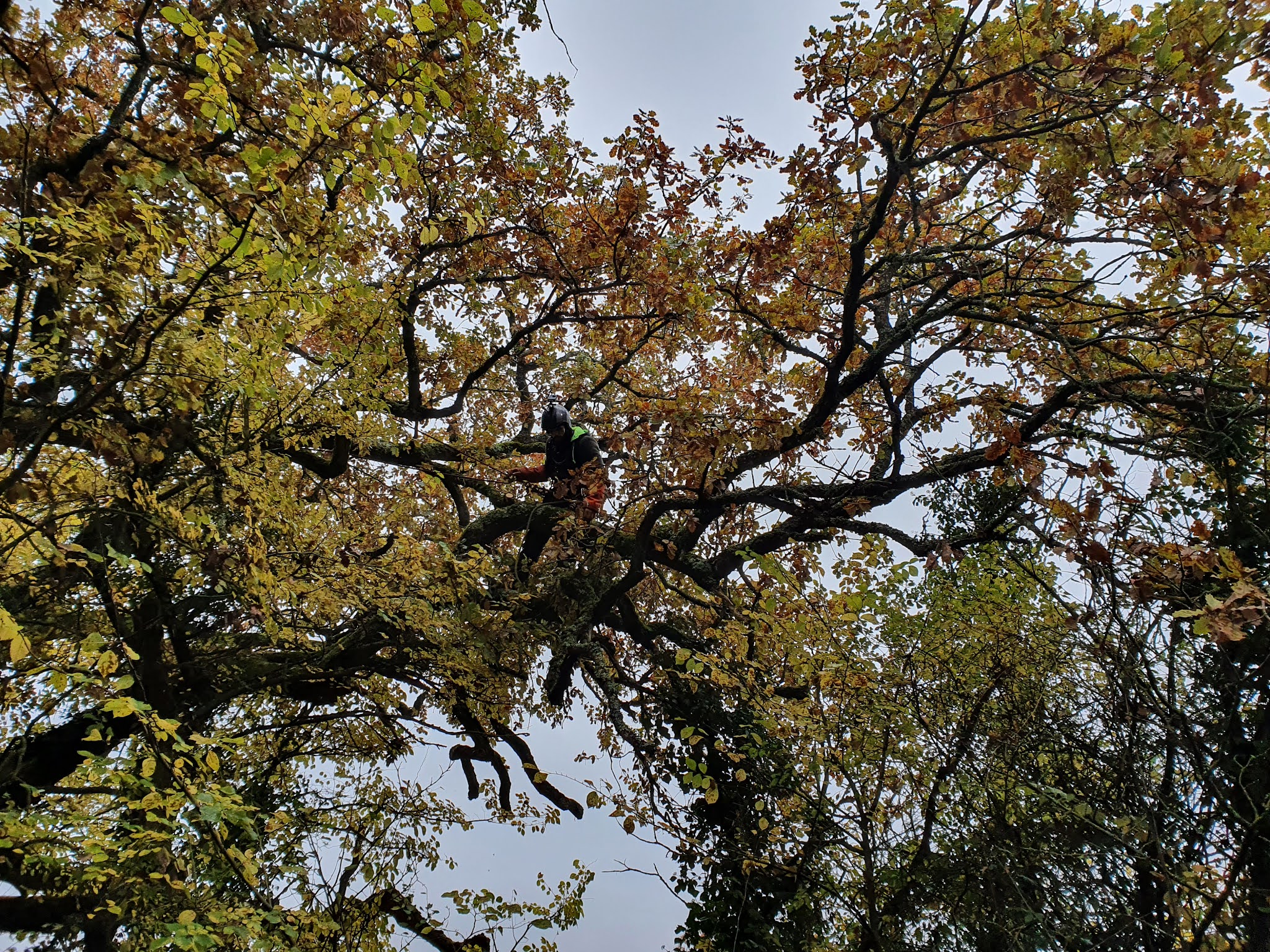 Photo n° 1 de l'avis de Julien.O fait le 24/11/2021 à 17:19