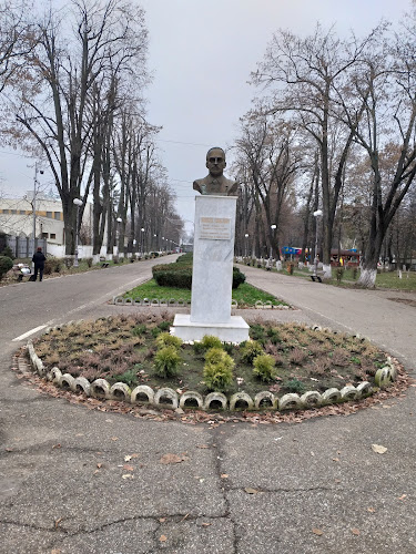 Statuie ,,Mircea Cancicov" - <nil>
