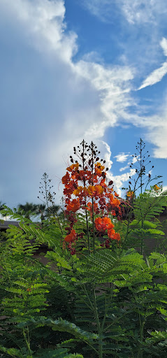 Resort «Omni Scottsdale Resort & Spa at Montelucia», reviews and photos, 4949 E Lincoln Dr, Scottsdale, AZ 85253, USA