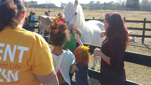 Wedding Venue «Rancho Alegre Farm», reviews and photos, 2225 Givens Rd, Dacula, GA 30019, USA