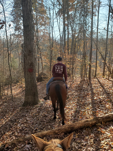 Horseback Riding Service «Long C Trails», reviews and photos, 8959 Hanes Rd, Westmoreland, TN 37186, USA