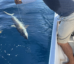 Don Chingon Charters photo