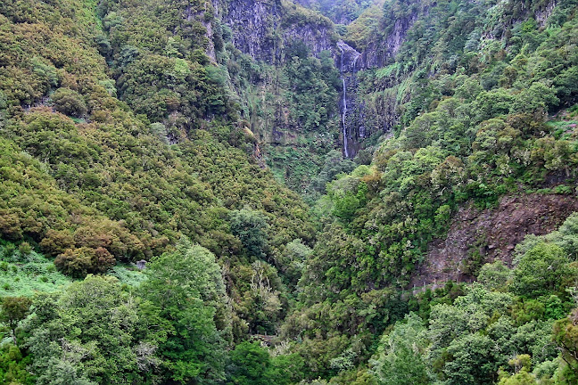 Avaliações doNATURE MEETINGS em Funchal - Agência de viagens