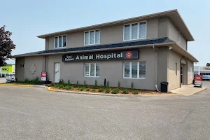 East Oshawa Animal Hospital image
