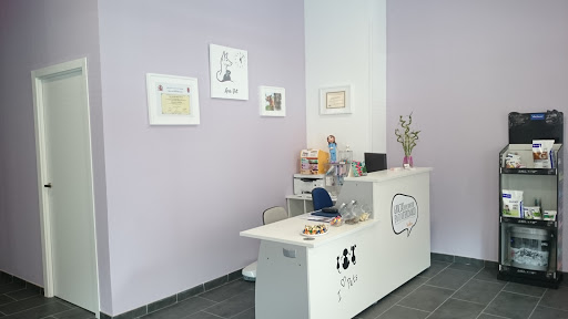 Clínica Veterinaria Ana Vet - Palencia