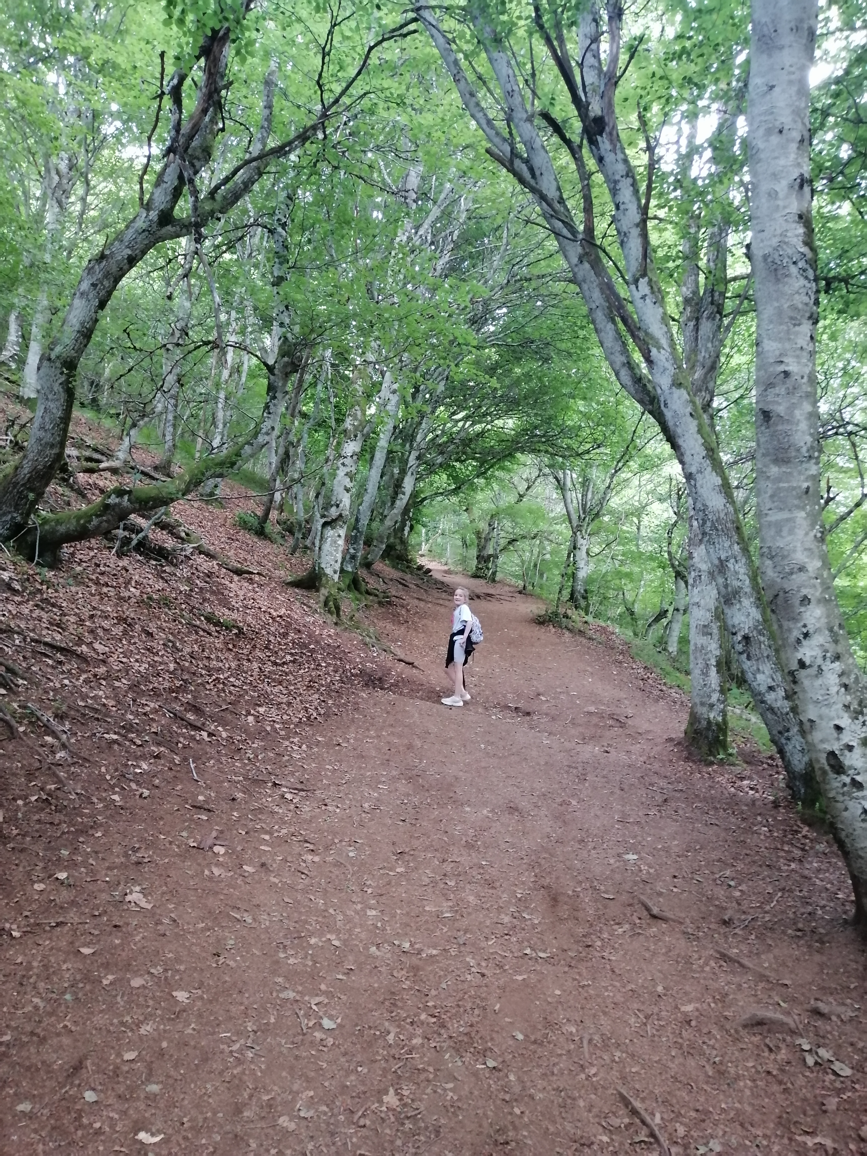 Photo n° 2 de l'avis de Arnaud.u fait le 22/07/2023 à 16:28