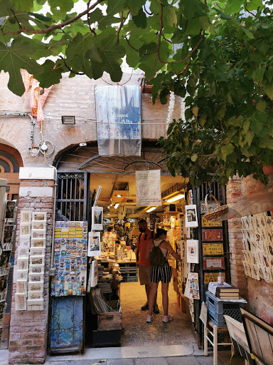 Places to study outdoors in Venice