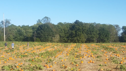 Farm «Bottom View Farm», reviews and photos, 185 Wilkerson Ln, Portland, TN 37148, USA