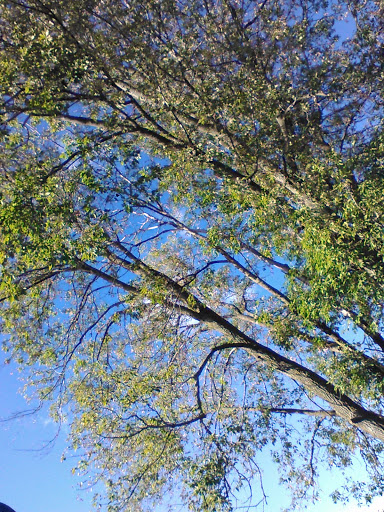 Winery «Chateau St Croix Winery & Vineyard», reviews and photos, 1998 WI-87, St Croix Falls, WI 54024, USA