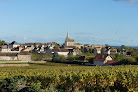 La Bourgogne à vos pieds Meursault