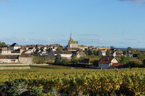 La Bourgogne à vos pieds à Meursault