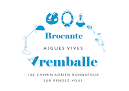 Olivier Barcus Brocanteur - Aremballe Aigues-Vives